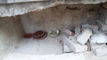 Nel degrado il vecchio cimitero urbano di Todi Nel degrado il vecchio cimitero urbano di Todi