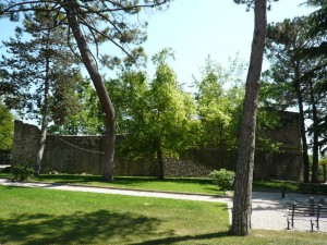 Montone piazzone sopra