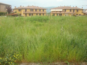 Todi san rocco basso