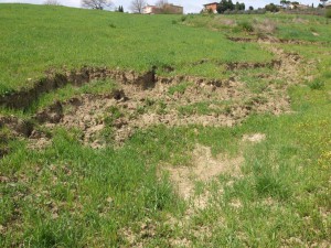 Todicascianellaaprile 2