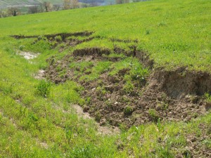 Todicascianellaaprile 3