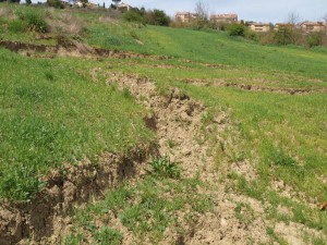 Todicascianellaaprile 5