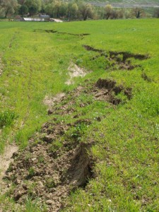 Todicascianellaaprile 6