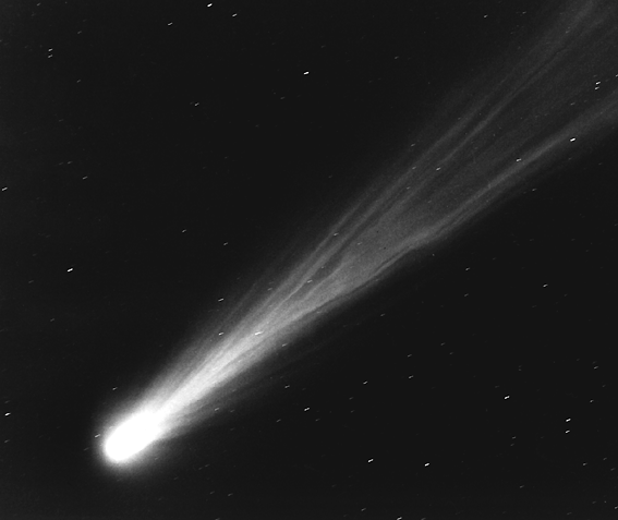 http://www.iltamtam.it/wp-content/uploads/2014/12/comete-p.gif
