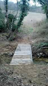 OWM%20ponte%20legno[1]