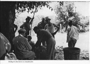 monte castello vibio vecchio4