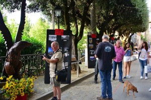 doglio concorso foto2