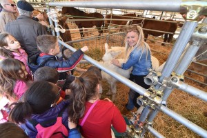 durante Agriumbria 2018 presso Centrofiere "Maschiella" Bastia Umbra IT, 6 aprile 2018. Foto: Umbriafiere [riferimento file: 2018-04-06/750_4865]