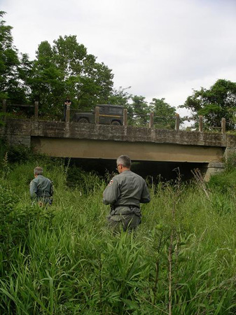 inquinamento nestore- forestale