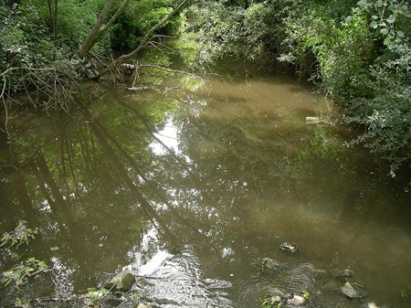 inquinamento nestore