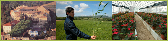 istituto agrario todi