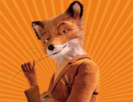 Doctor fox