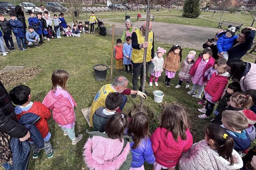 1 Bambini e tiglio 2