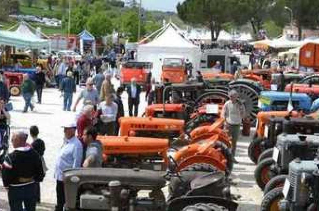 1005288_428_dsc_0556