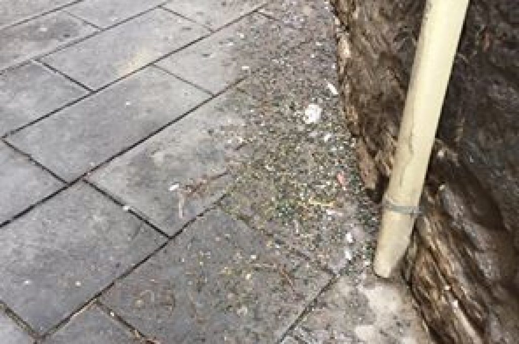 14448908_10210859692994310_3098415497946041299_n