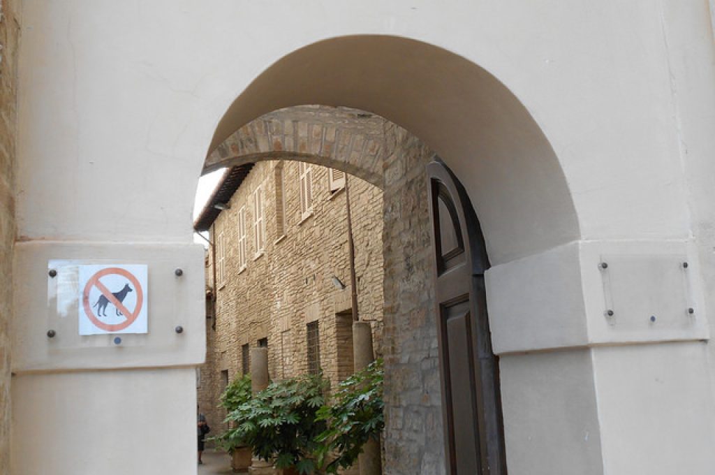 20673519662_711de53813_z