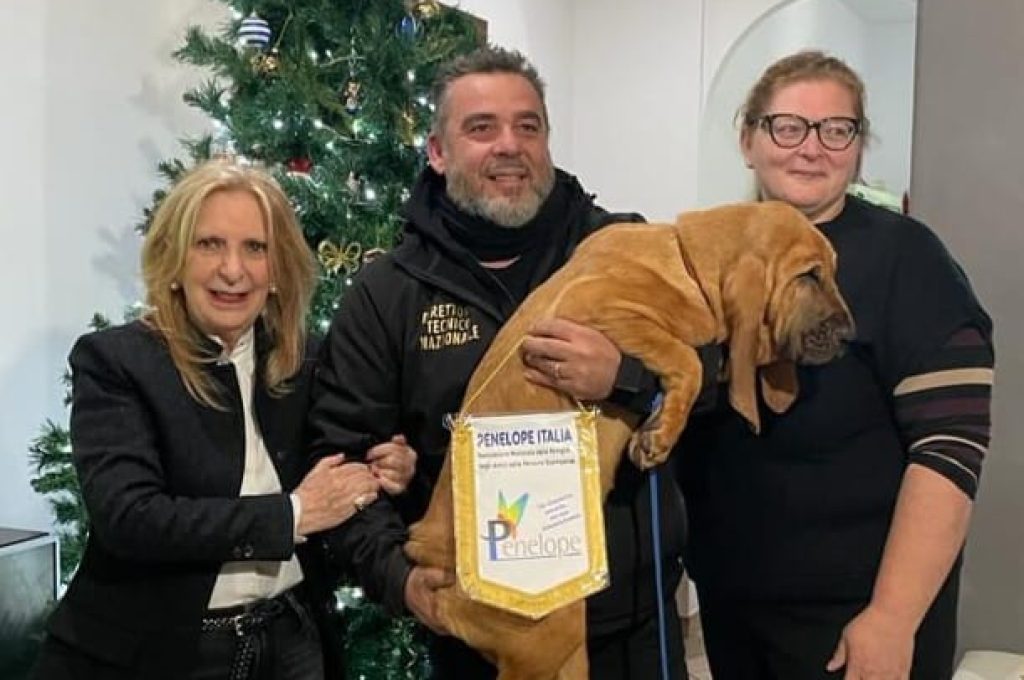 318445792_1026089408784282_2130385583087766584_n