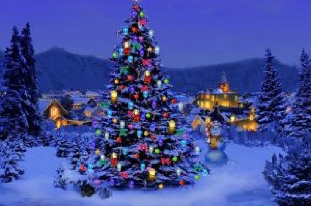 ALBERO_NATALE01