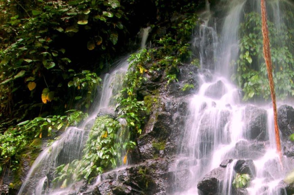 Acqua sorgente