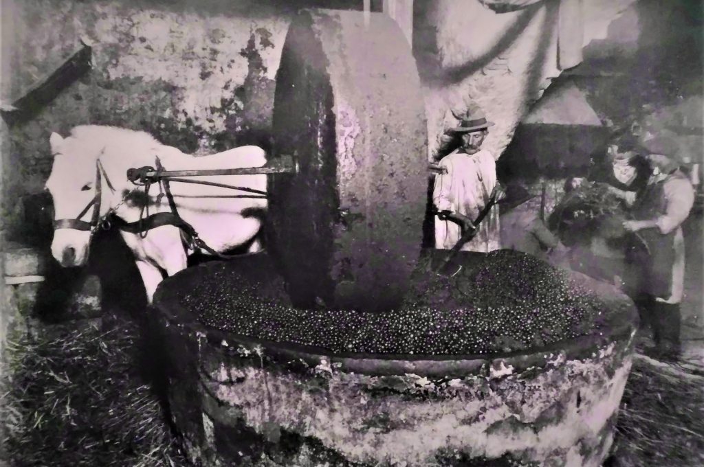 Antico frantoio di Monte Castello