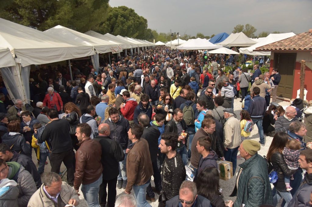 Archivio Agriumbria 3