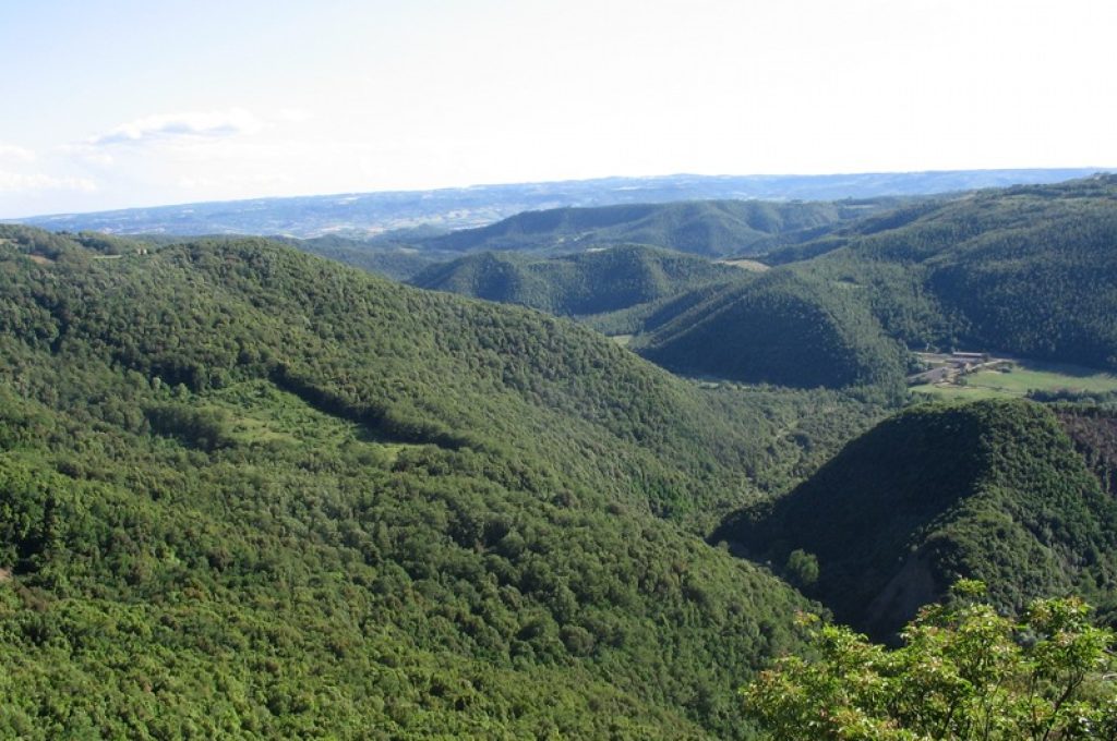 Area Naturale Protetta Elmo-Melonta