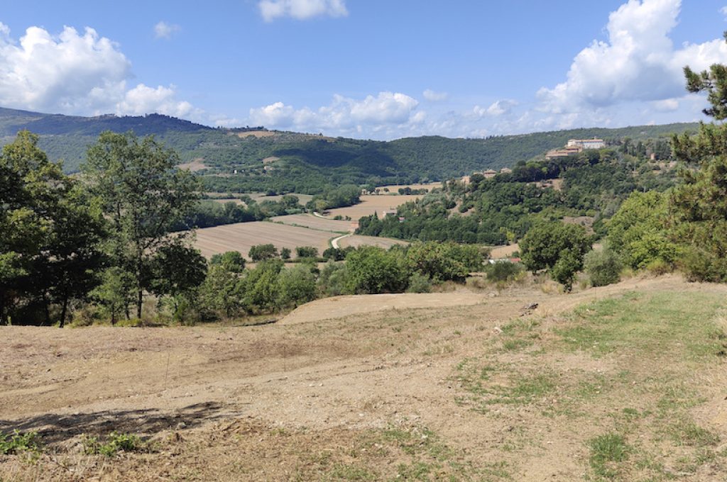 Area dove sorge il Teatro della Terra