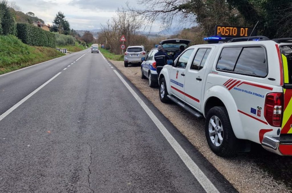 Attività prevenzione incidenti animali selvatici
