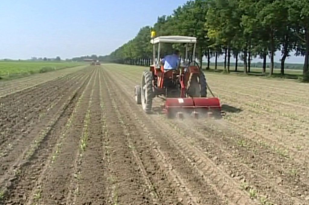 aziende-agricole-12