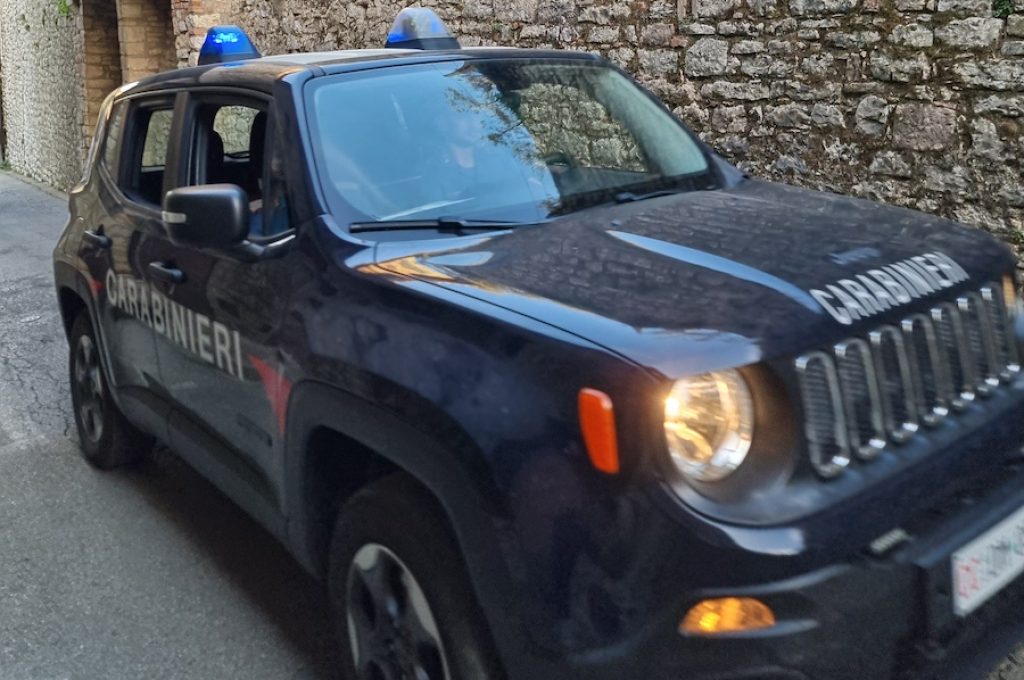 Carabinieri cane in auto