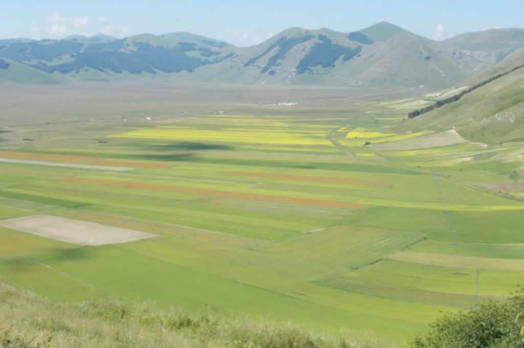 Castelluccio