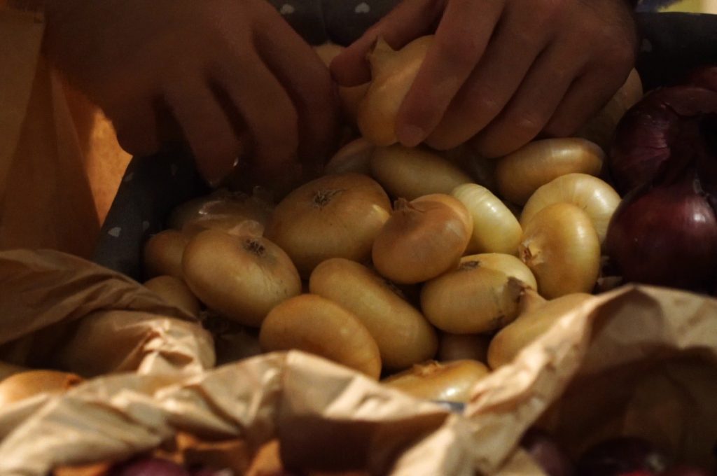 Chiusura della 38esima Festa della cipolla di Cannara (1)