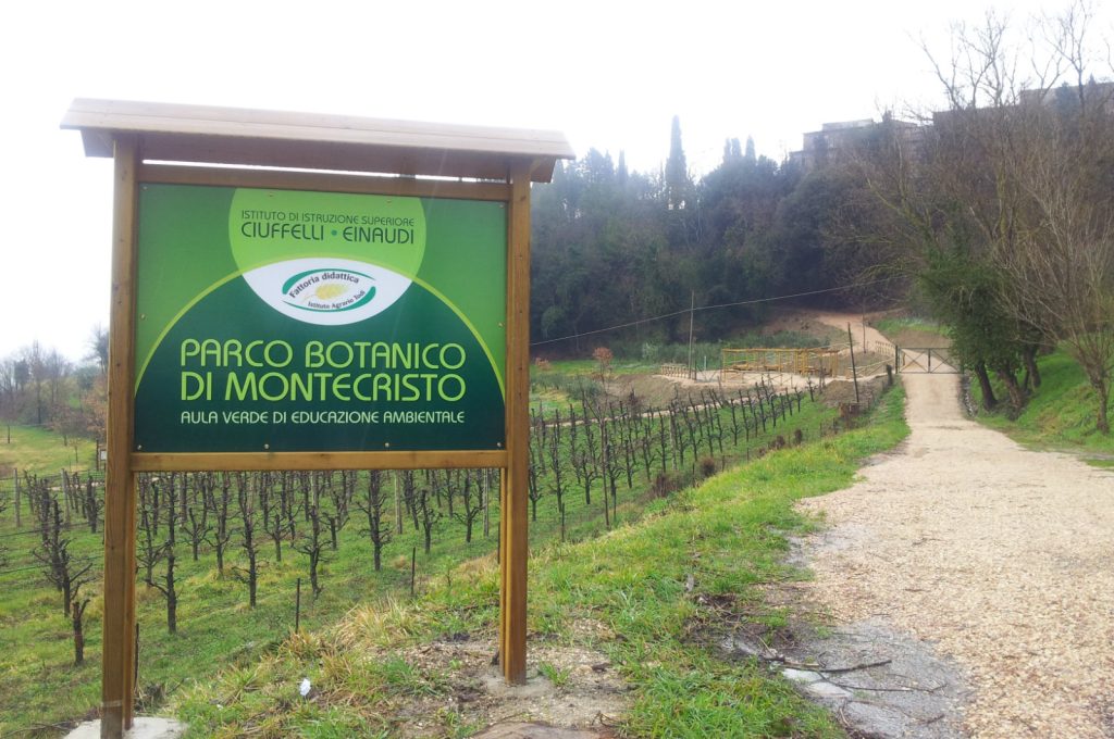 Ciuffelli_Parco Montecristo_Aula verde