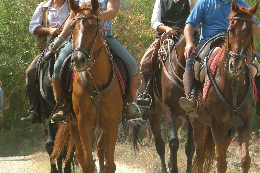 Collevalenza passeggiata 1