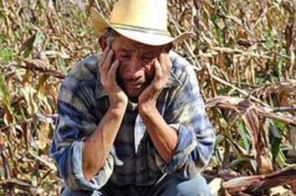 Crisi-agricola-immagine-simbolica-300x279