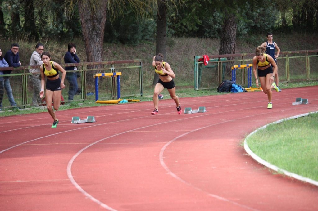 fattorini-gnagnarini-pisani