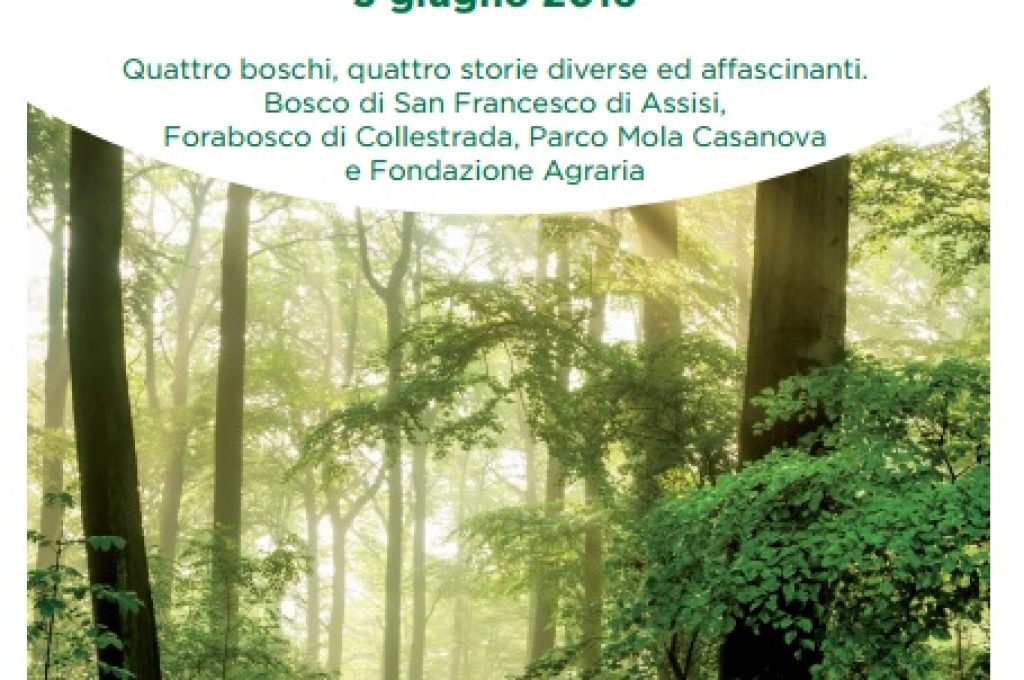 Festa-dei-boschi
