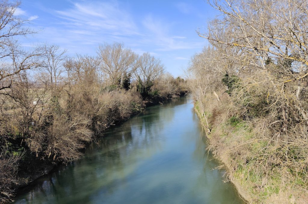 Fiume Tevere 1 rid
