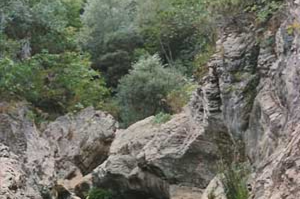 Forra_Piscina_Bosco