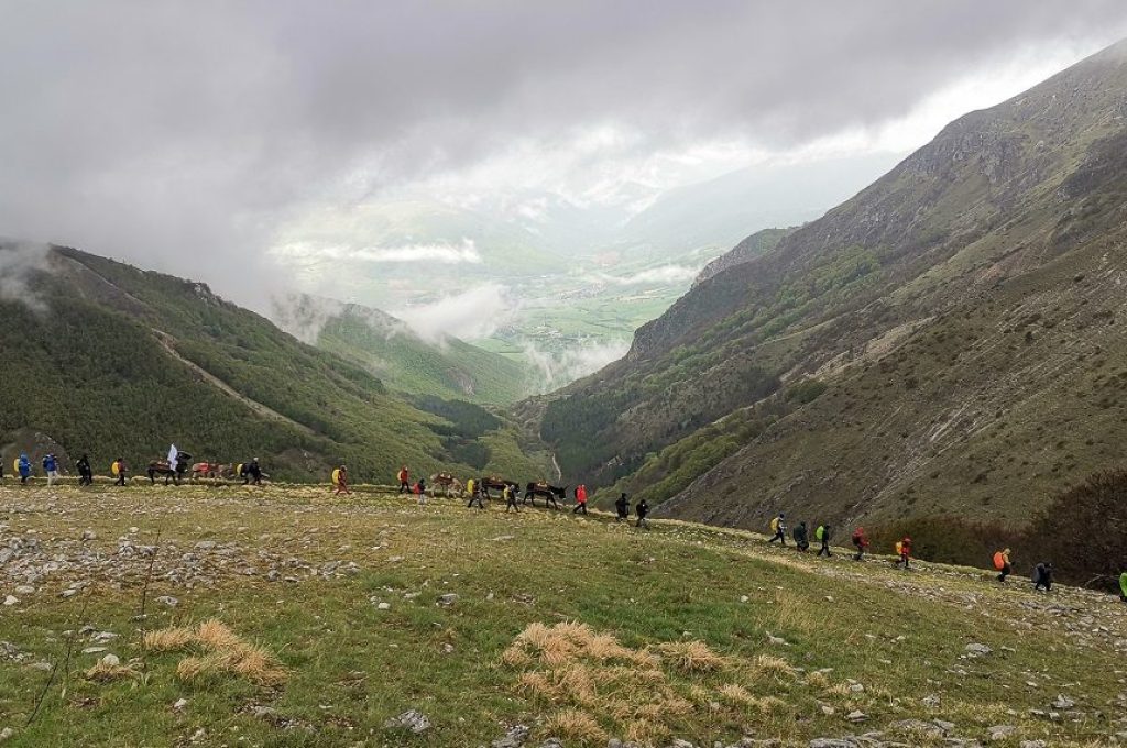 IMG_20190518_104624-1000x572