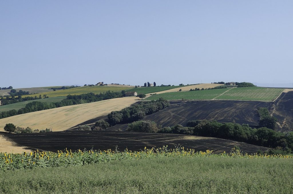 Incendio terreno a Marsciano 022