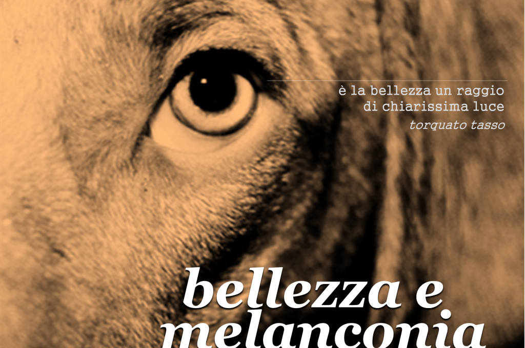 LICEO JACOPONE DA TODI - MANIFESTO DELLA NOTTE BIANCA DEL LICEO - BELLEZZA E MELANCONIA - 24 MAGGIO 2014