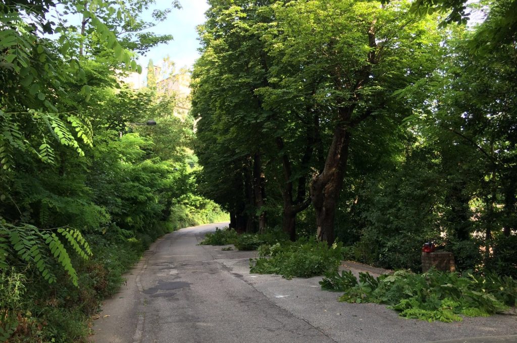 Manutenzioni_Todi_Viale_della_Fabbrica