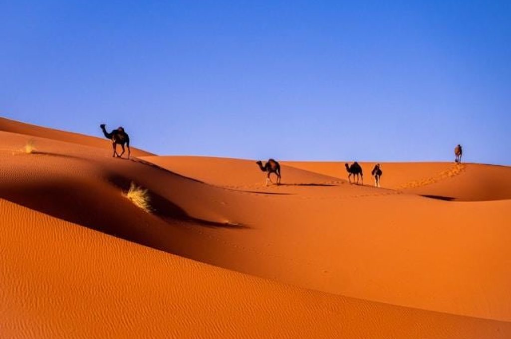 Marocco