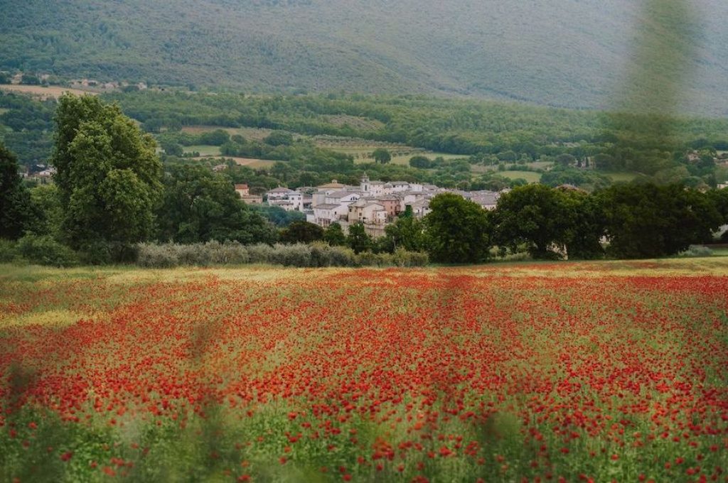 Massa Martana_panorama2