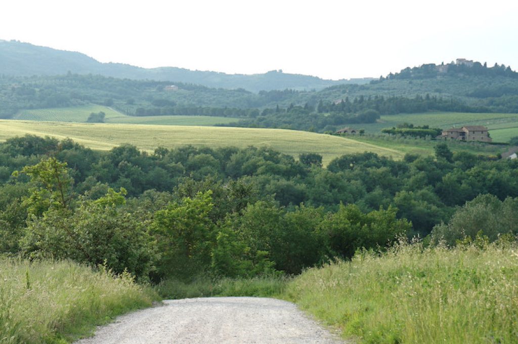 Paesaggio collinare Marsciano