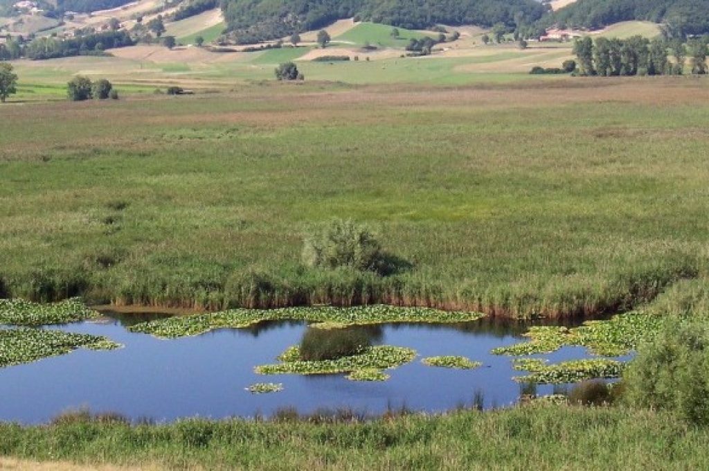 Palude_di_Colfiorito-678x381
