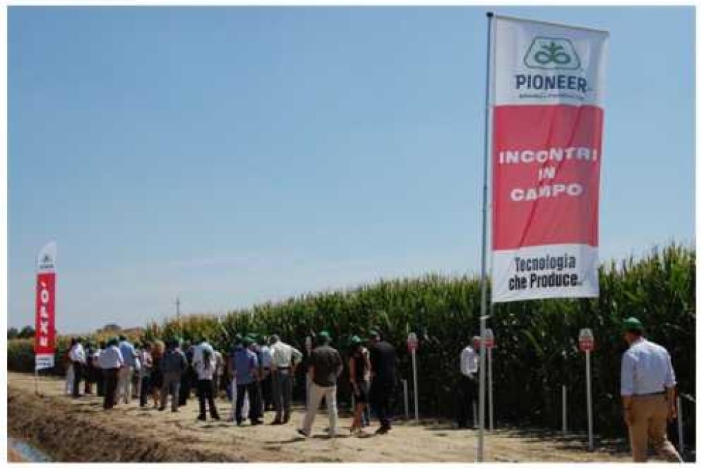 Pioneer_Campi_Pessina