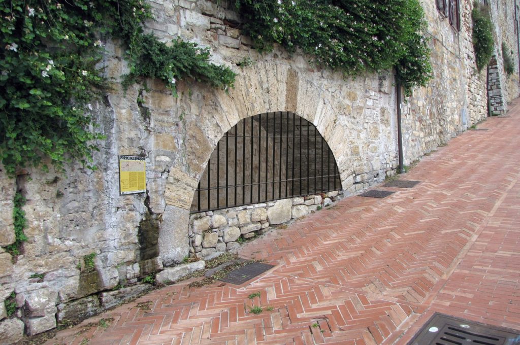 ROGNOSI fotomontaggio