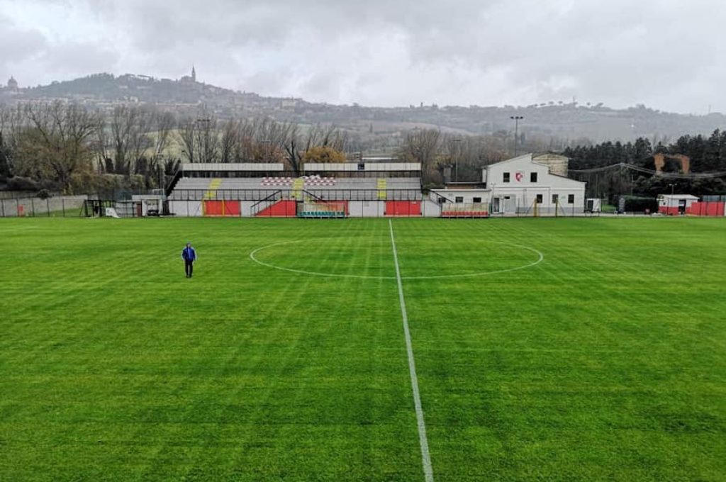 STADIO MARTELLI